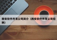 西安软件开发公司简介（西安软件开发公司招聘）