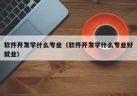 软件开发学什么专业（软件开发学什么专业好就业）