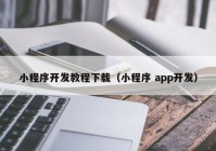 小程序开发教程下载（小程序 app开发）