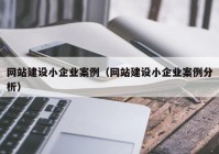 网站建设小企业案例（网站建设小企业案例分析）